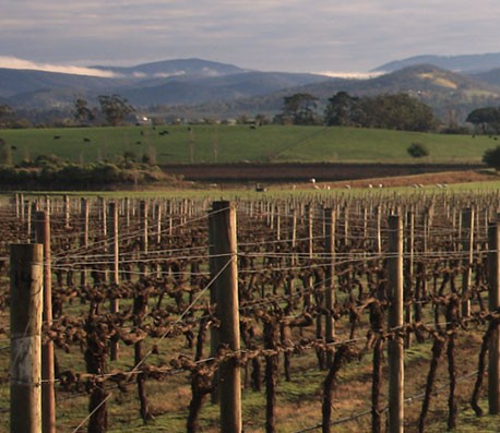 手机号测压源码